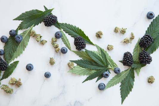 Overhead view of white and grey marble surface with hemp leaves, berries, and cannabis or hemp buds placed in a frequency wave pattern going from left to right with the berries and buds loosely following the wave pattern